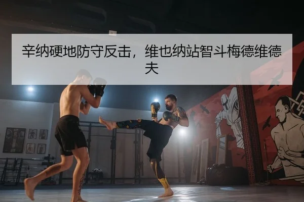 辛纳硬地防守反击，维也纳站智斗梅德维德夫